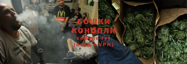 индика Нязепетровск