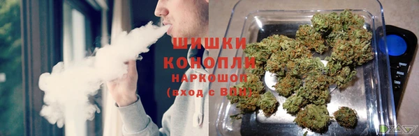 индика Нязепетровск