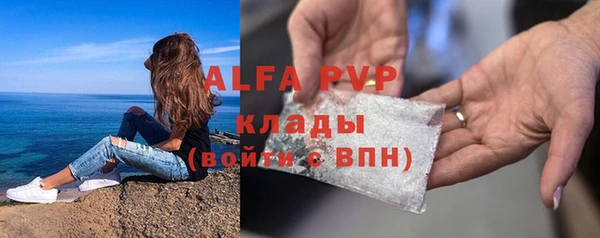 индика Нязепетровск