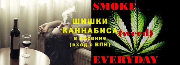 экстази Няндома