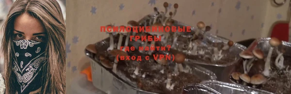 индика Остров