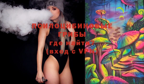 индика Нязепетровск