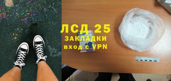 индика Нязепетровск