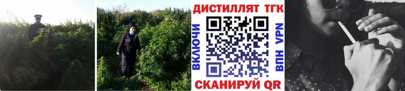 hydra зеркало Северобайкальск Дистиллят ТГК жижа