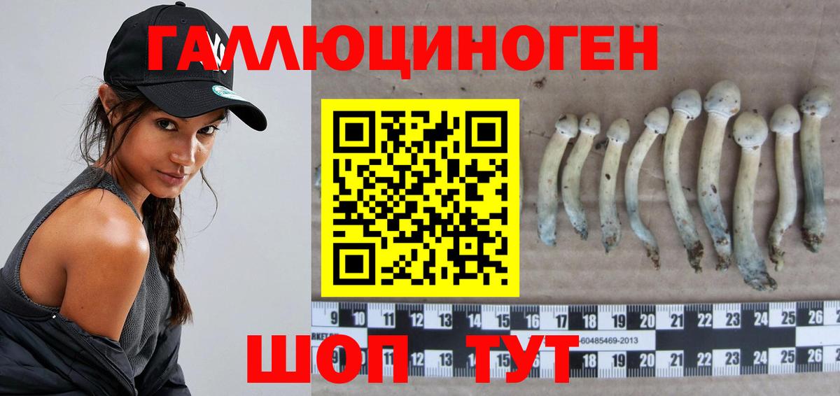 Псилоцибиновые грибы Magic Shrooms Северобайкальск